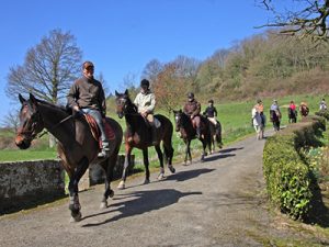 335; Foucheraie; centre; équestre; Cardroc; 35